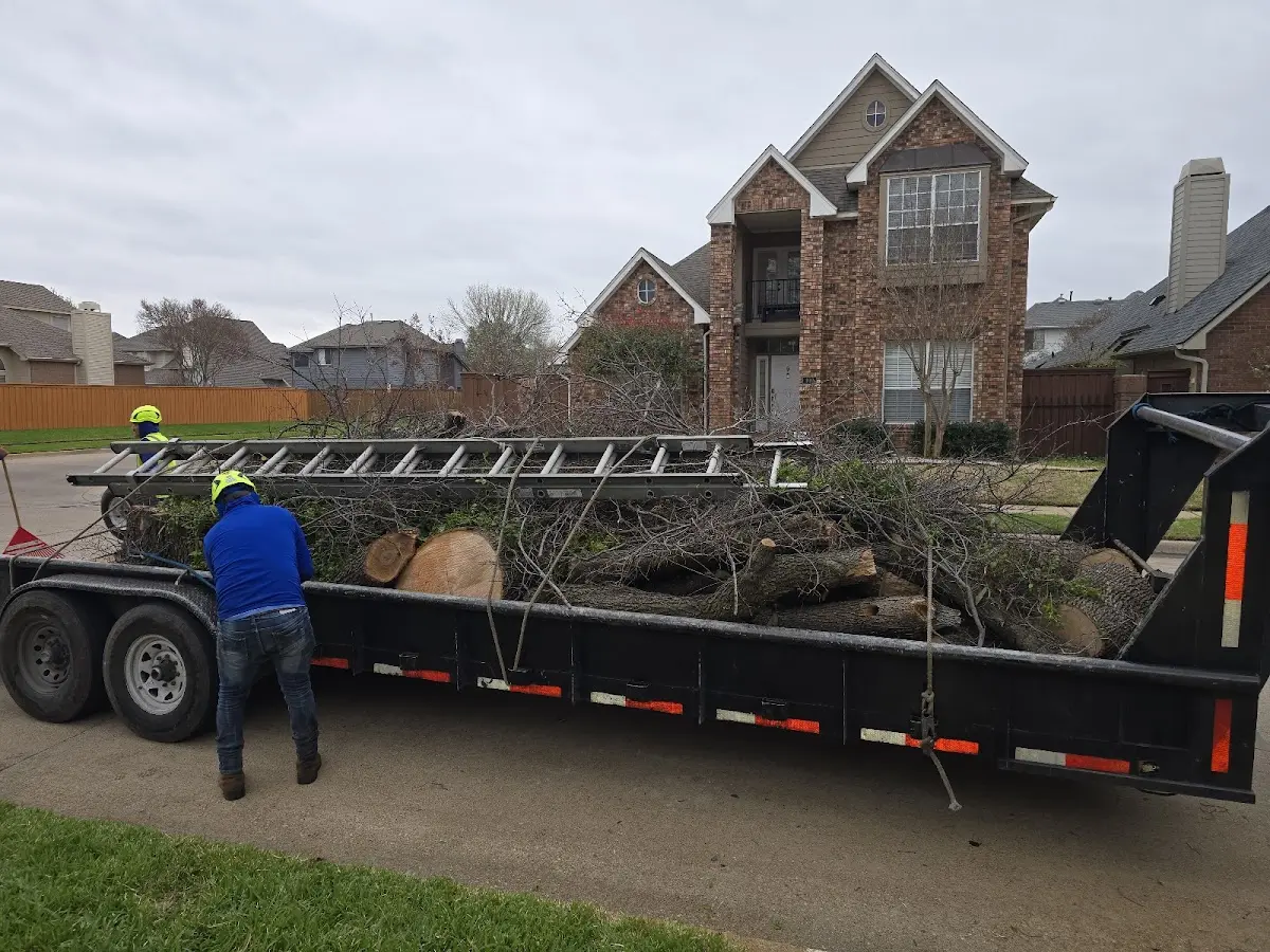 Expert Tree Fertilization with proper safety equipment in Decatur